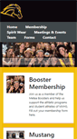 Mobile Screenshot of meteaboosters.com